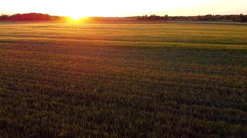 Sunset fields close